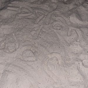 Meet your Posher, Dylan